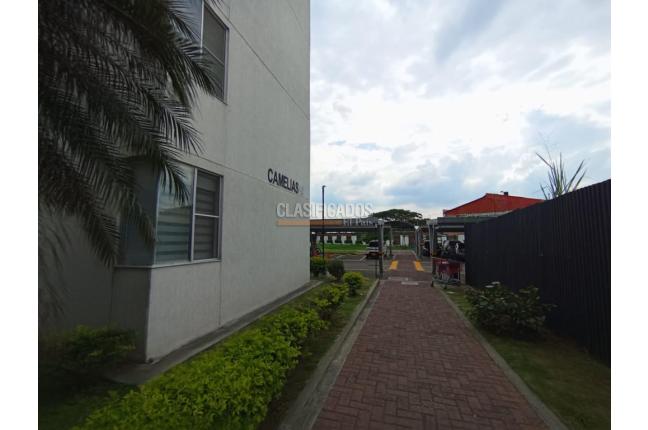 Apartamentos, Venta, Palmira - $570.000.000