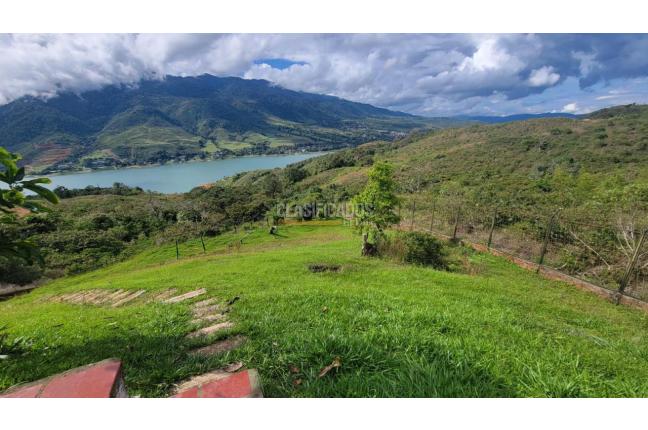 Fincas y Casas Campestres, Venta, Calima (Darién) - $1.800.000.000
