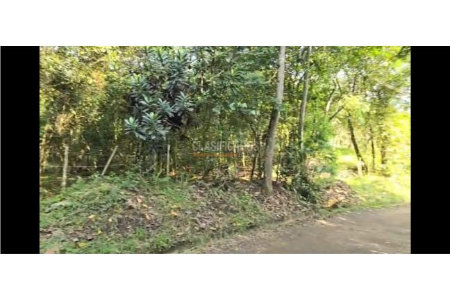 Lotes, Venta en Pance