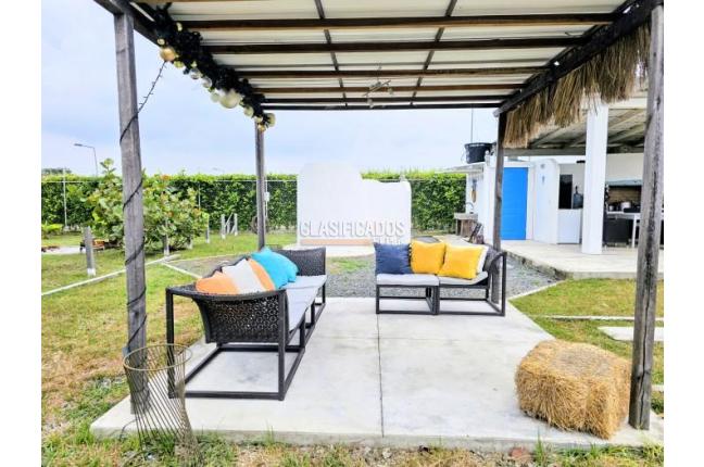 Lotes, Venta, Palmira - $520.000.000