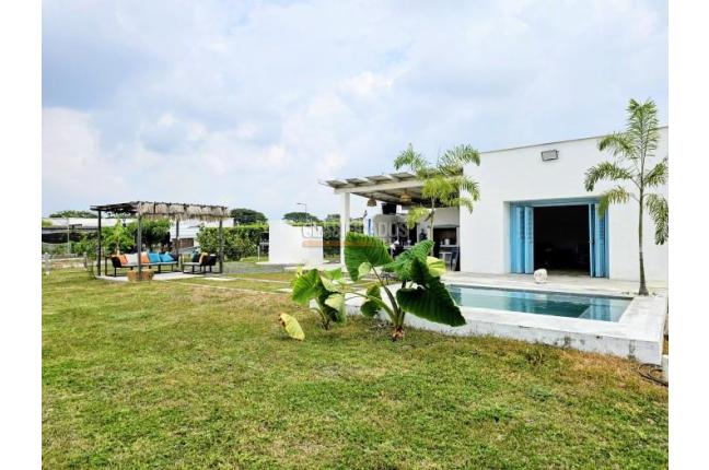 Lotes, Venta, Palmira - $520.000.000