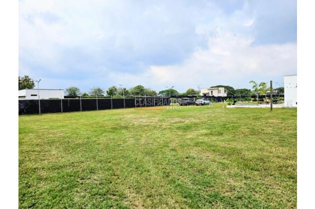 Lotes, Venta, Palmira - $520.000.000