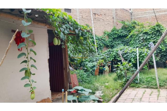 Lotes, Venta, Alfonso López - $890.000.000