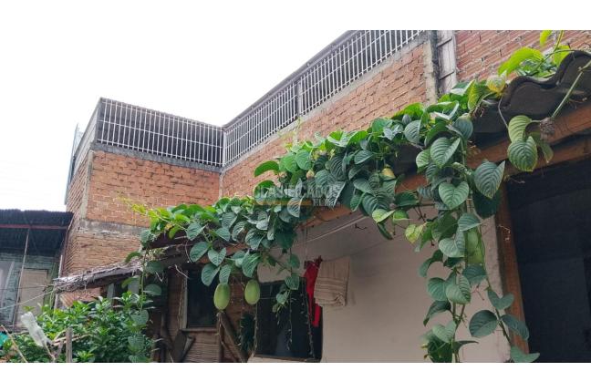 Lotes, Venta, Alfonso López - $890.000.000