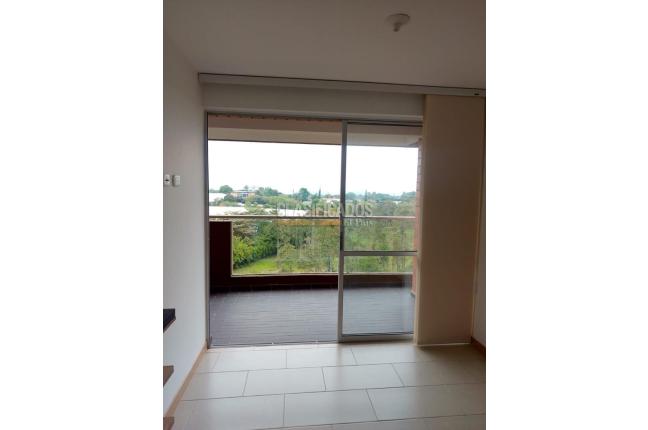 Apartamentos, Alquiler, Pereira - $2.650.000