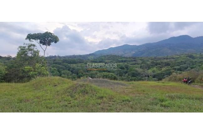 Lotes, Venta, Pance - $730.000.000