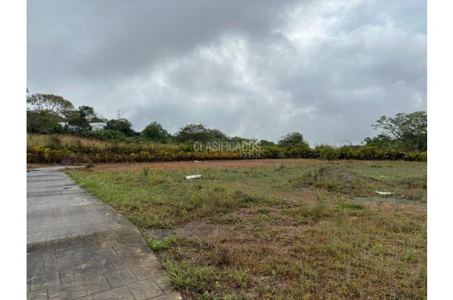 Lotes, Venta, Pance - $730.000.000