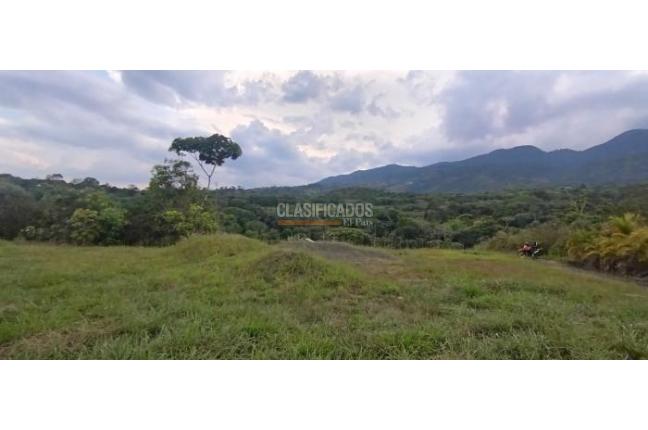 Lotes, Venta, Pance - $730.000.000