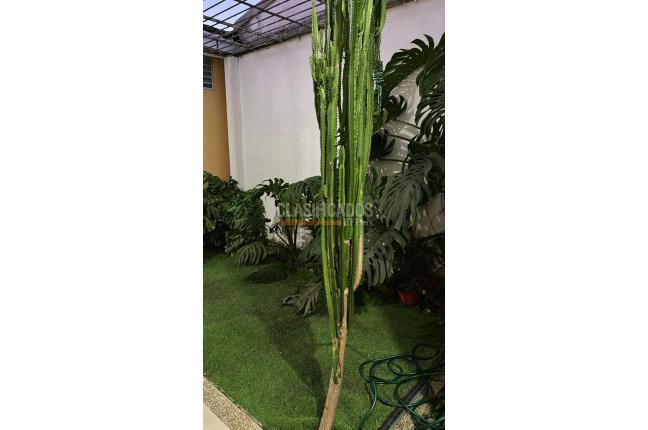 Apartaestudios, Alquiler, San Fernando