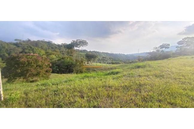 Lotes, Venta, Pance - $1.070.000.000