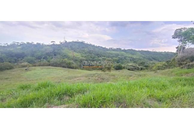 Lotes, Venta, Pance - $1.040.000.000