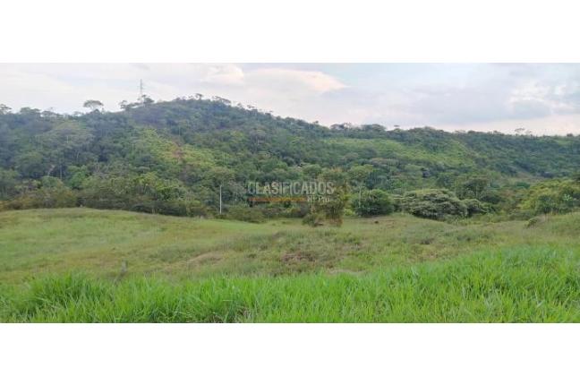 Lotes, Venta, Pance - $1.040.000.000