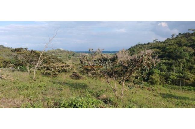 Lotes, Venta, Pance - $1.150.000.000