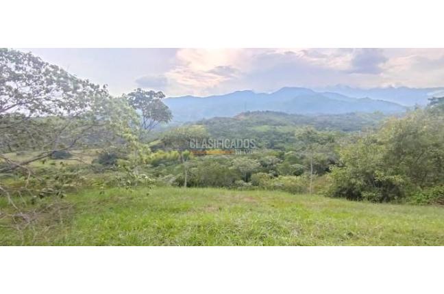 Lotes, Venta en Pance