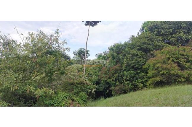 Lotes, Venta, Pance - $700.000.000