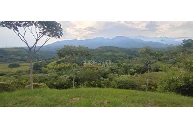 Lotes, Venta, Pance - $700.000.000