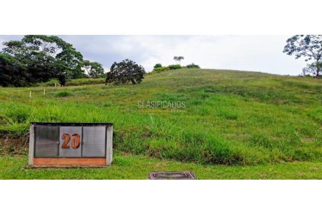 Lotes, Venta en Pance