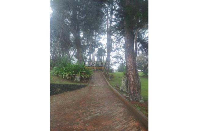 Fincas y Casas Campestres, Alquiler, Dagua - $3.800.000