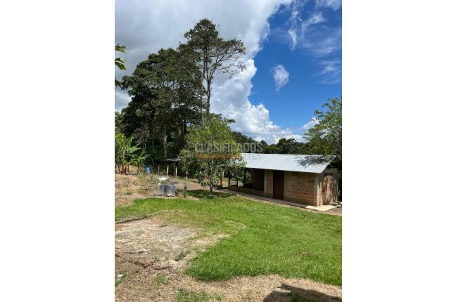 Fincas y Casas Campestres, Venta, Restrepo - $450.000.000