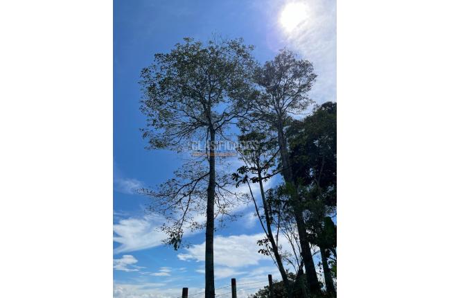 Fincas y Casas Campestres, Venta, Restrepo - $450.000.000