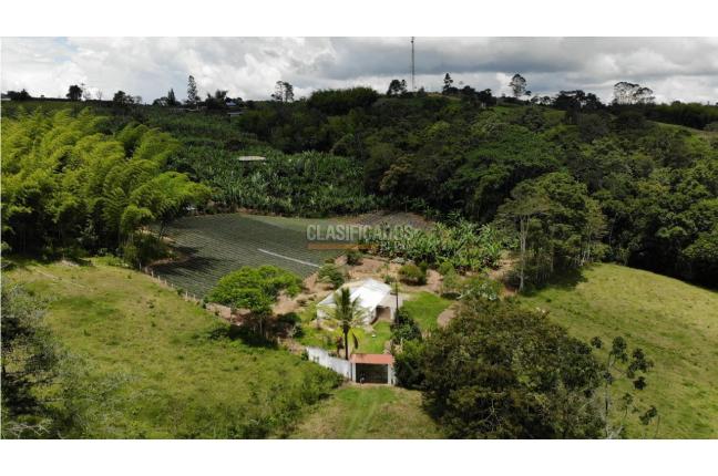 Fincas y Casas Campestres, Venta, Restrepo - $450.000.000