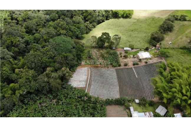 Fincas y Casas Campestres, Venta, Restrepo - $450.000.000