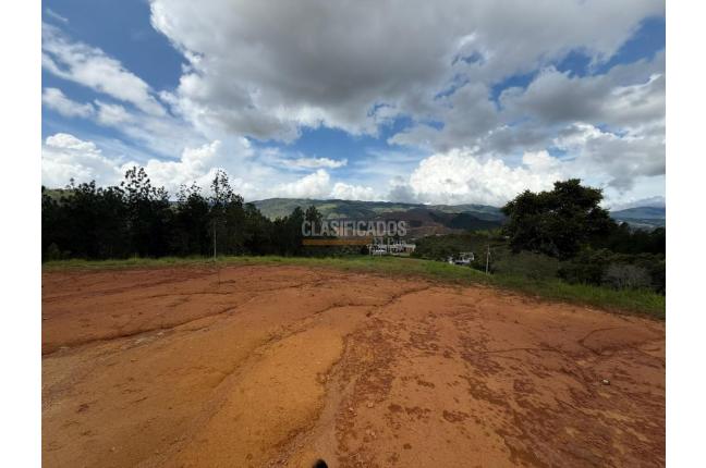 Locales y Bodegas, Venta en Dagua