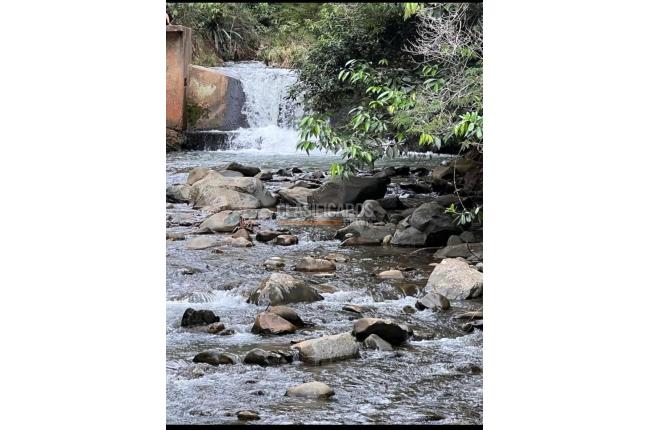 Lotes, Alquiler, Dagua - $1.700.000