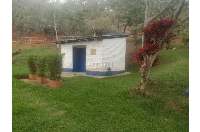 Fincas y Casas Campestres, Venta, Dagua - $510.000.000