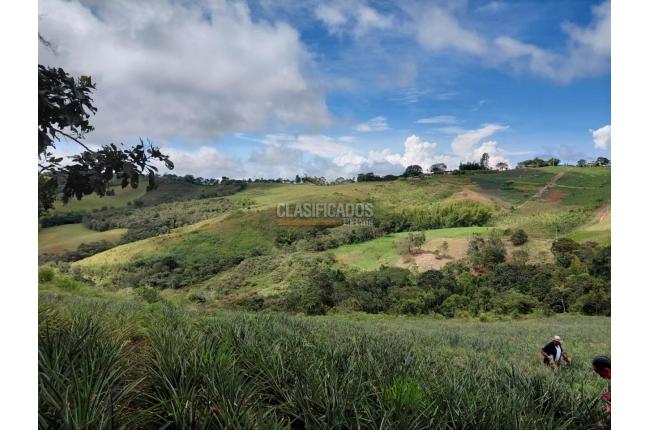 Lotes, Venta, La Cumbre - $157.500.000