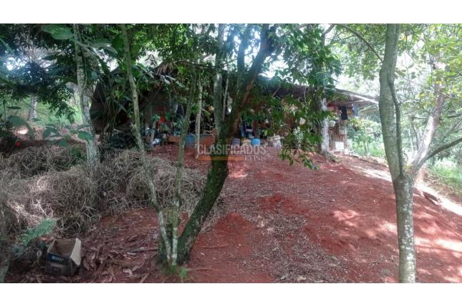 Lotes, Venta, Bella Suiza - $385.000.000