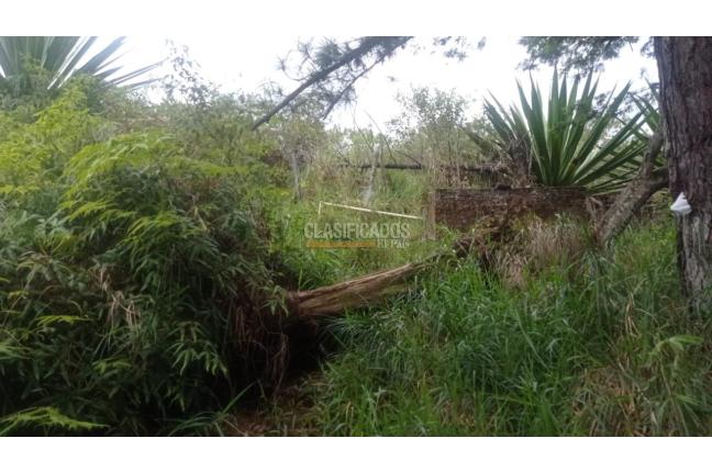 Lotes, Venta, Bella Suiza - $385.000.000