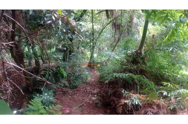 Lotes, Venta, Bella Suiza - $385.000.000