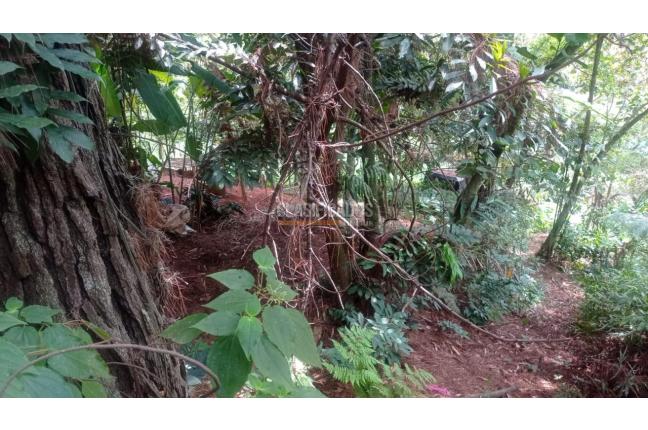 Lotes, Venta, Bella Suiza - $385.000.000