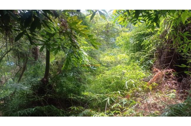 Lotes, Venta, Bella Suiza - $385.000.000