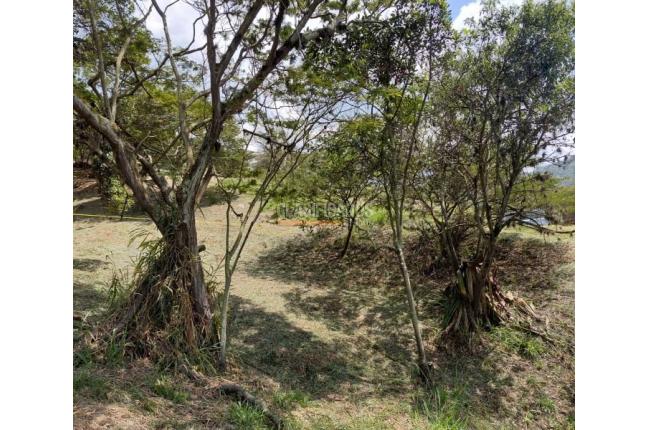 Lotes, Venta, Yumbo - $575.000.000