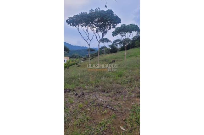 Lotes, Venta, Pance - $1.200.000.000