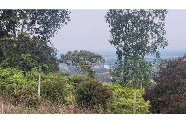 Lotes, Venta, Pance - $1.200.000.000