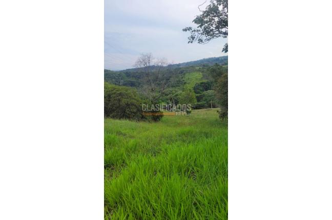 Lotes, Venta, Pance - $1.200.000.000