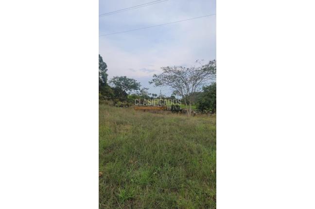 Lotes, Venta, Pance - $1.200.000.000