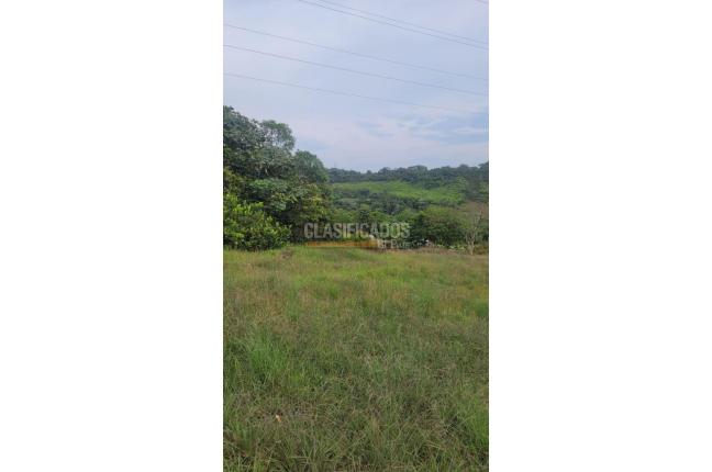 Lotes, Venta, Pance - $1.200.000.000