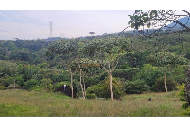 Lotes, Venta, Pance - $1.200.000.000