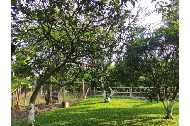 Lotes, Venta, Candelaria - $980.000.000