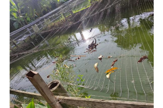 Lotes, Venta, Candelaria - $980.000.000