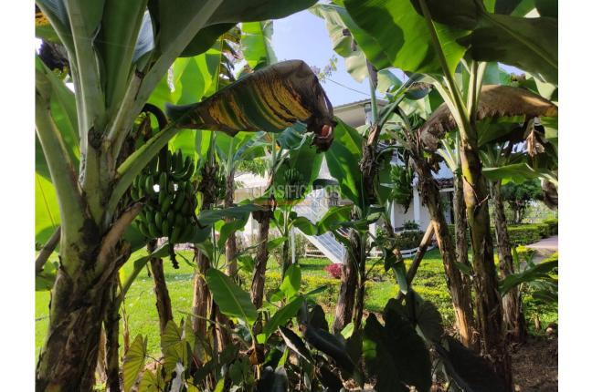 Lotes, Venta, Candelaria - $980.000.000