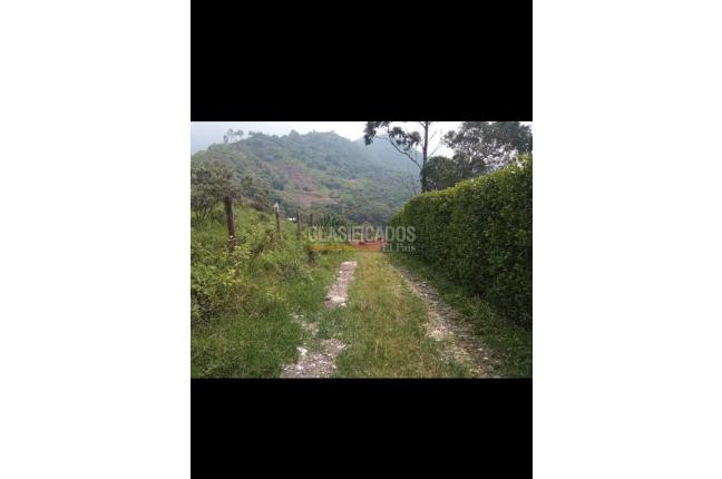 Lotes, Venta en Montebello