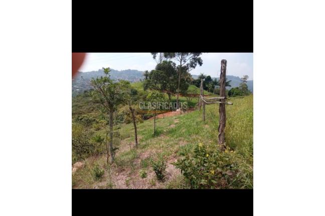 Lotes, Venta, Montebello - $380.000.000