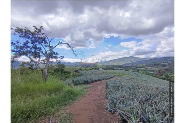 Lotes, Venta, Dagua - $72.000.000