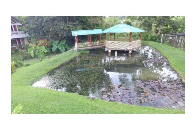 Fincas y Casas Campestres, Venta, La Cumbre - $650.000.000