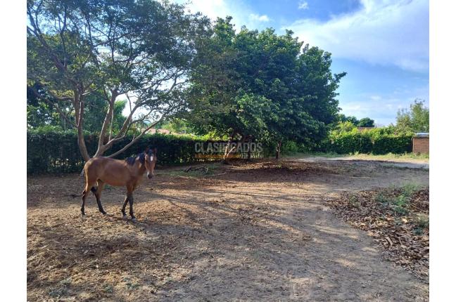 Lotes, Venta, Palmira - $650.000.000